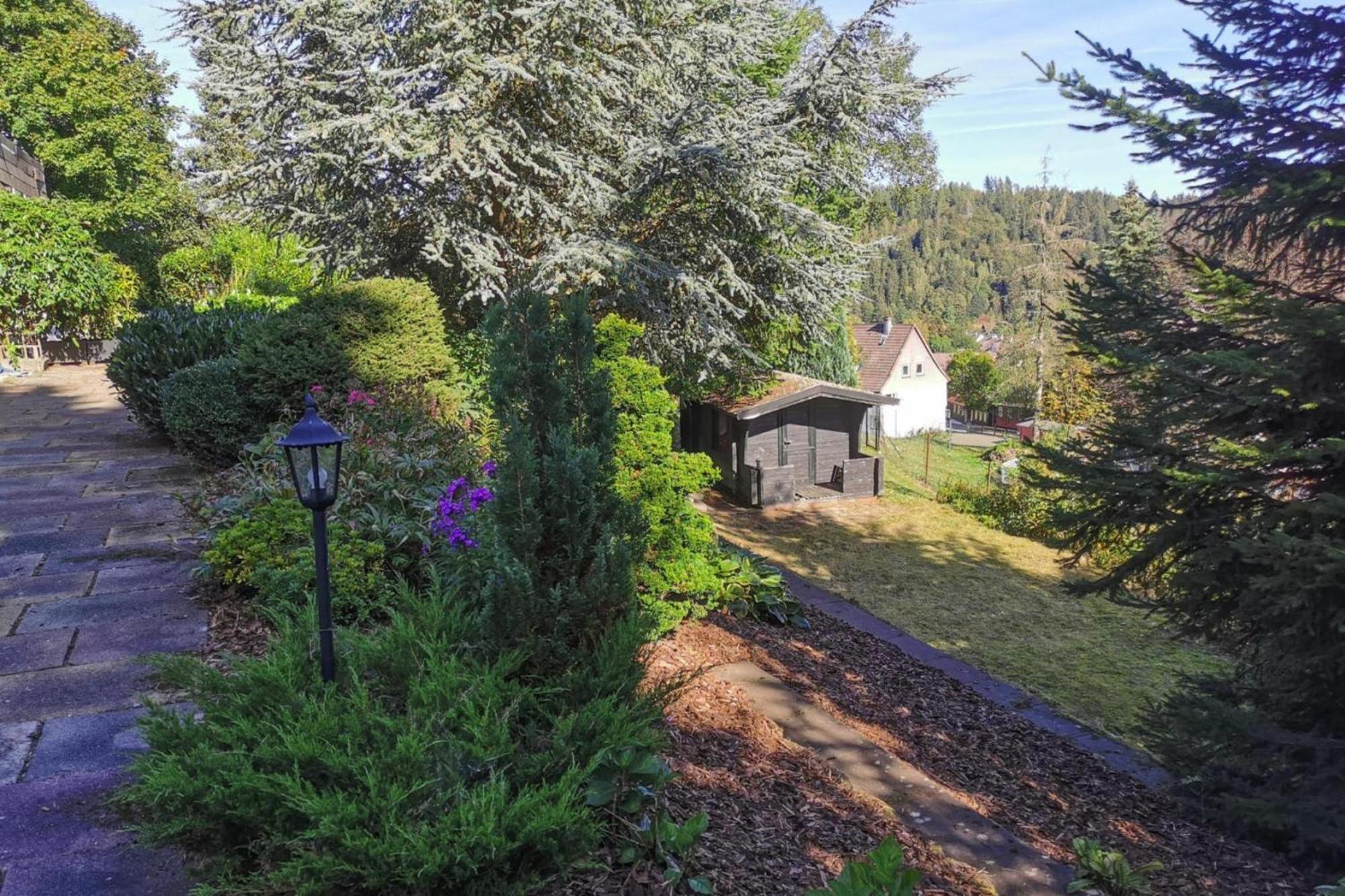 Apartment B Renh Tte Altenau Altenau  Esterno foto